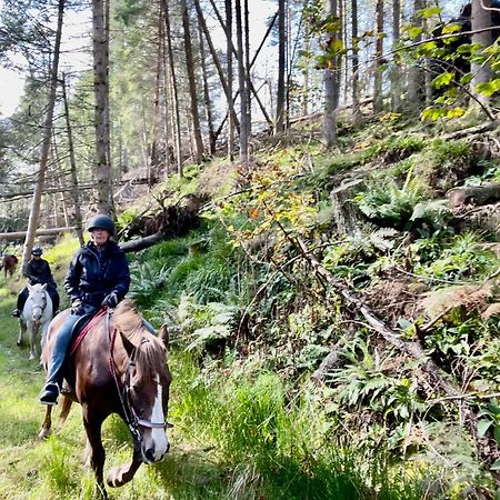 Scottish Equi B&B ラナーク エクステリア 写真
