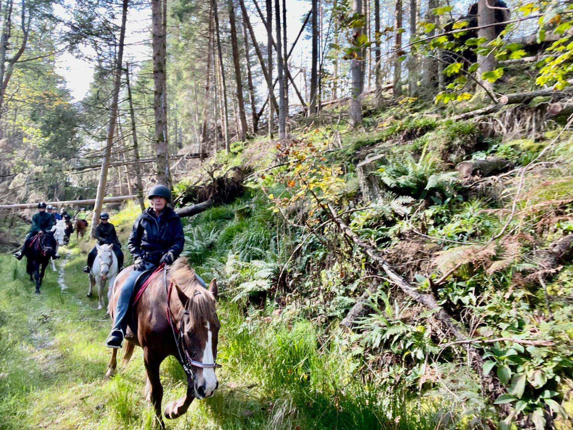 Scottish Equi B&B ラナーク エクステリア 写真